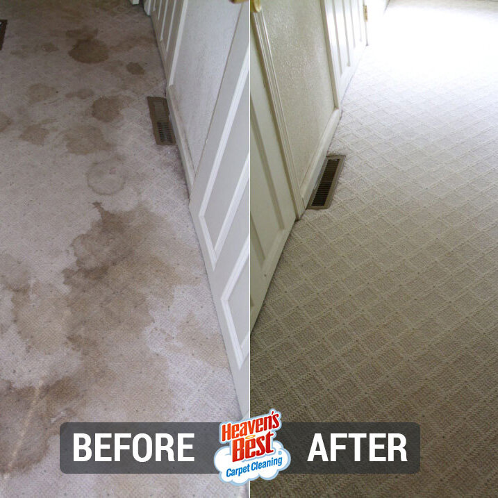 Heaven's Best Carpet Cleaning of Moses Lake WA